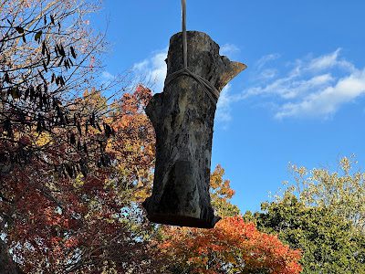 crane lifting large sycamore trunk section over house in Indianapolis