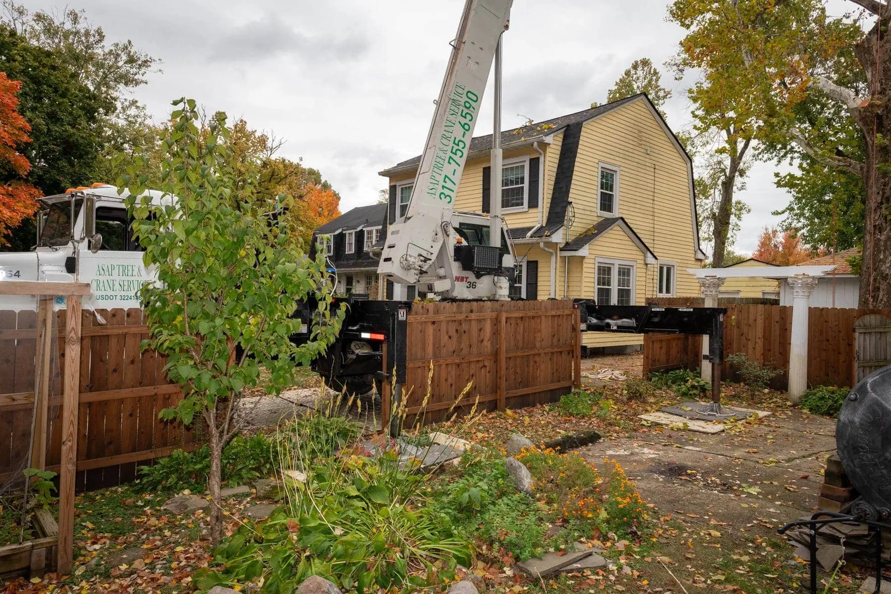 Spring Tree Maintenance Checklist for Indianapolis Homeowners