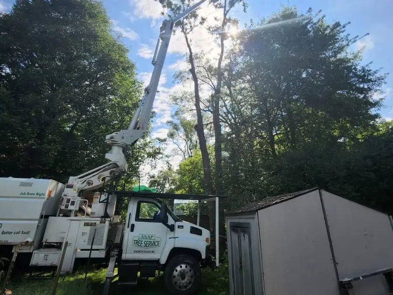 Tight space tree removal in Indianapolis IN using rigging techniques