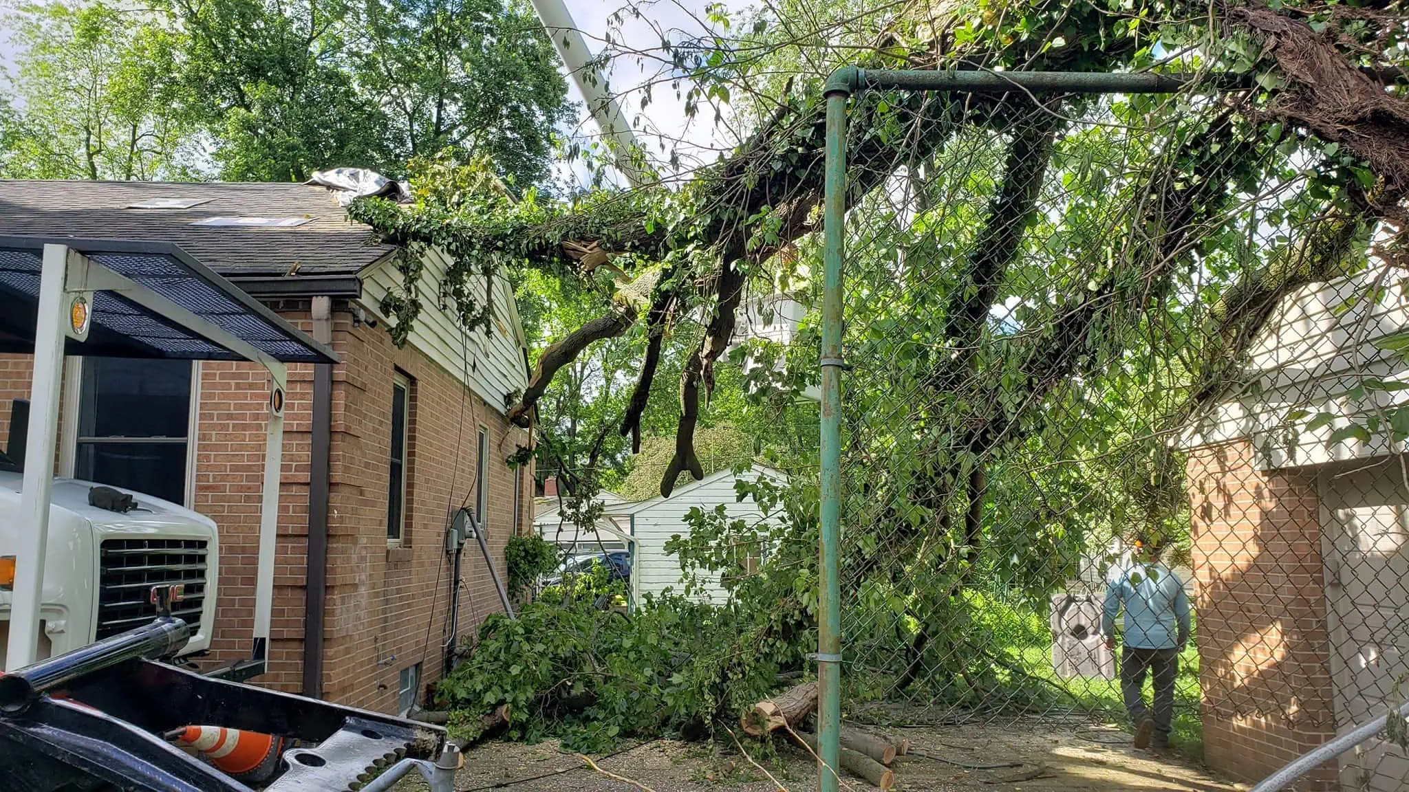 What to Do When a Tree Starts Leaning After a Storm | ASAP Tree and Crane Service