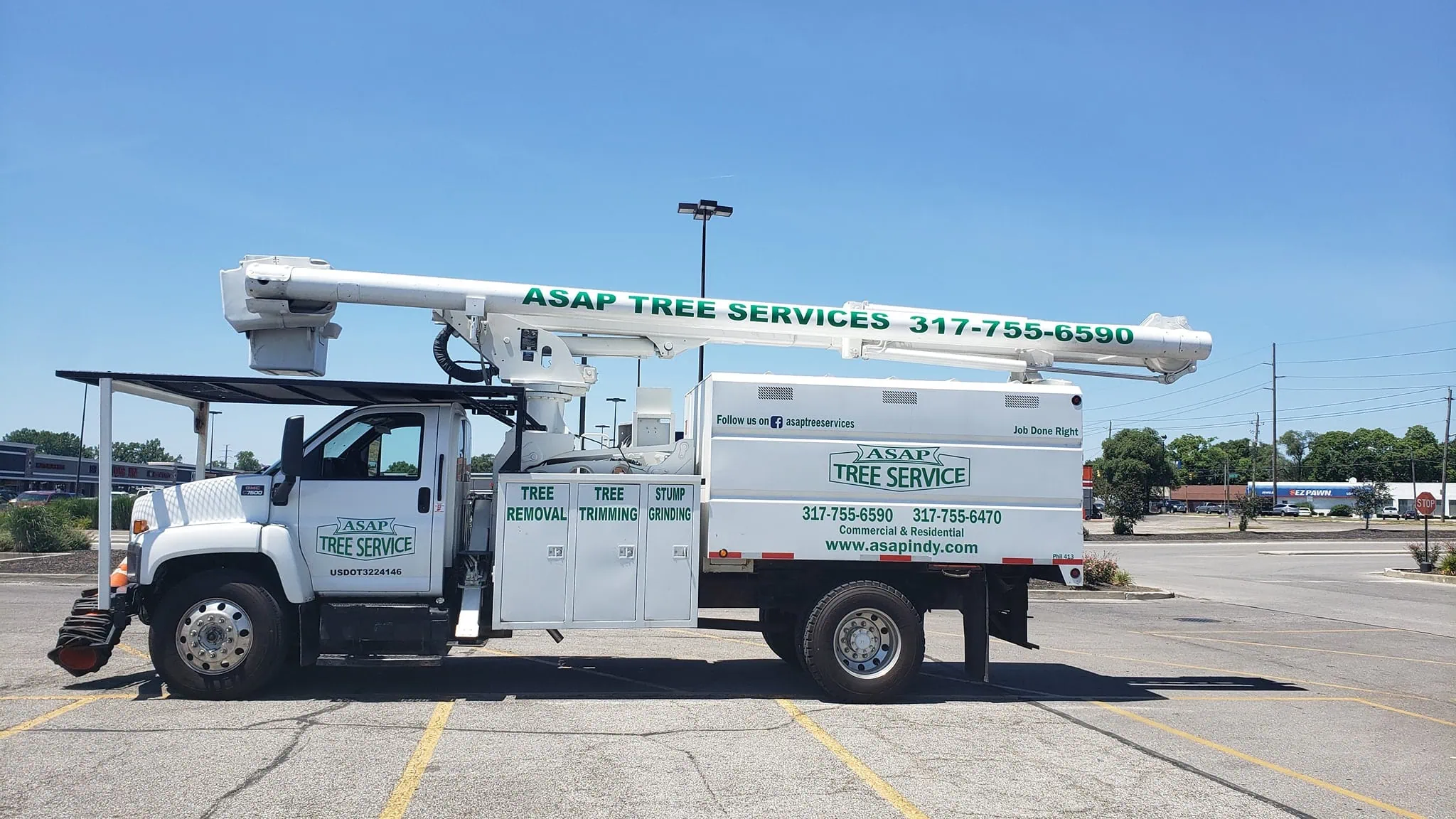 Tree Service in Zionsville, IN